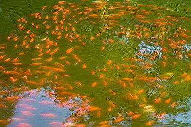 曝《漫威刀锋战士》已进入全力制作阶段 或2027年发售