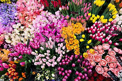 《古剑奇谭OL》海外版将上线Steam国区 买断制独立服