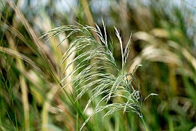 《辛特堡传说》通过Steam Deck验证 7月18日发售