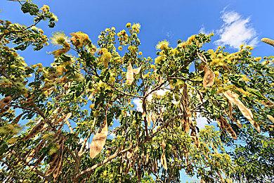 《收获日3》将获得离线模式但仍需联网：仅为临时方案